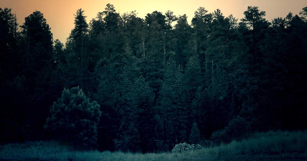 NAS搭建WireGuard VPN服务完全指南：安全远程访问家庭存储的最简方案