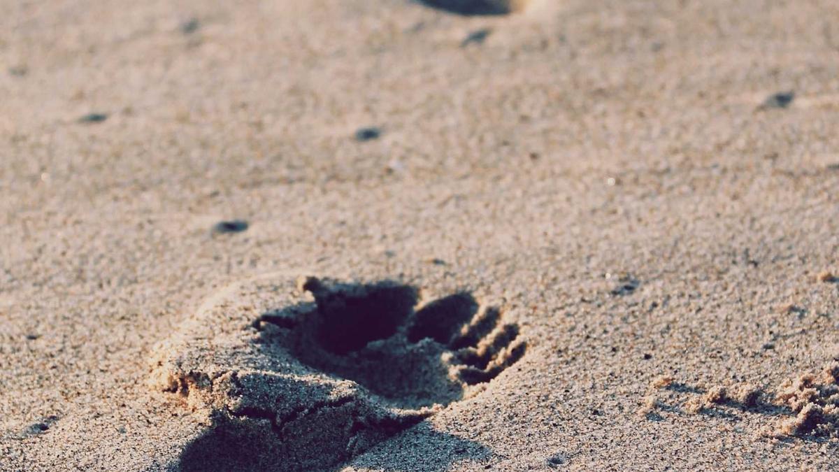 NAS自建邮件服务完整指南：Mailu一键部署与反垃圾邮件配置实战