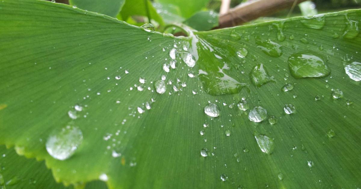 群晖DSM 7.3新特性全面解析：AI Photos、Synology Photos与智能相册的未来