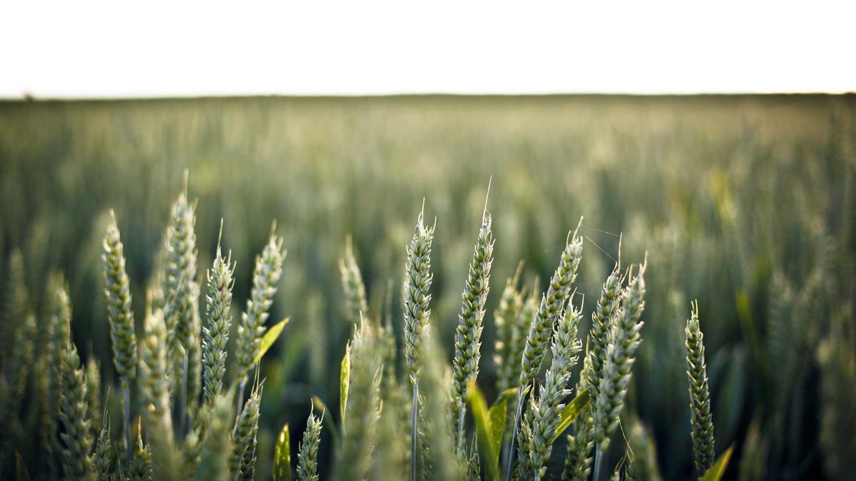 Unraid 7.0深度实战：从零搭建全能家庭媒体服务器与虚拟机平台