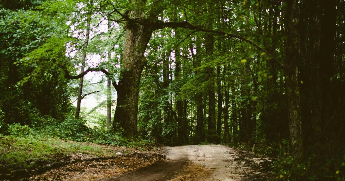 NAS智能化升级：本地AI大模型部署与智能文件管理系统实战