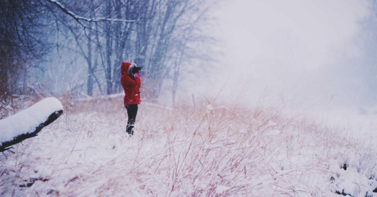 NAS Web终端与SSH管理进阶：用ttyd和shellinabox打造浏览器命令行工作环境