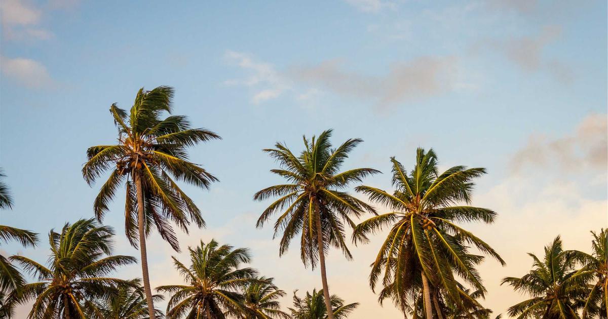 NAS服务器选型与硬件搭配全攻略：2026年从J4125到i9的主流方案深度解析