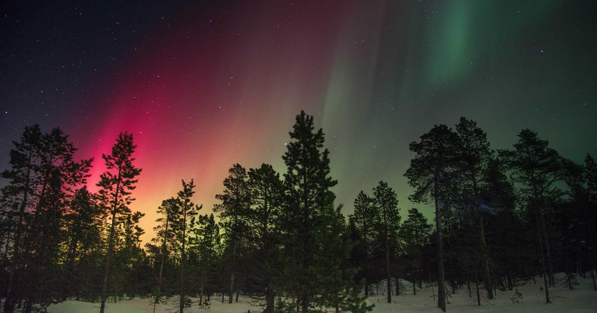 NAS系统更新与回滚实战：确保升级安全的完整指南