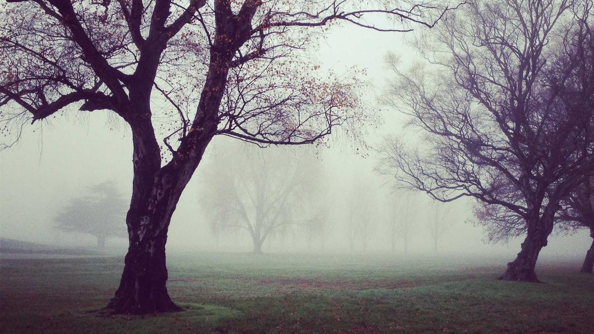 OMV 7.0深度评测：开源NAS系统的2026年全新特性与HomeAssistant集成实战