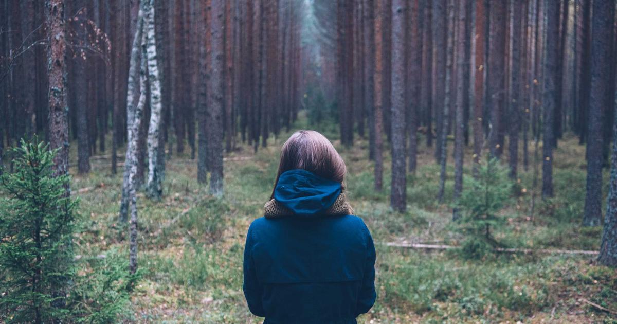 NAS虚拟机快照管理与容灾恢复实战：Proxmox VE备份策略完全指南