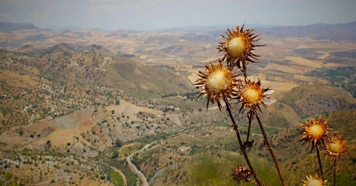 NAS虚拟化方案全解析：Proxmox VE与ESXi在家庭实验室中的选型与部署实战