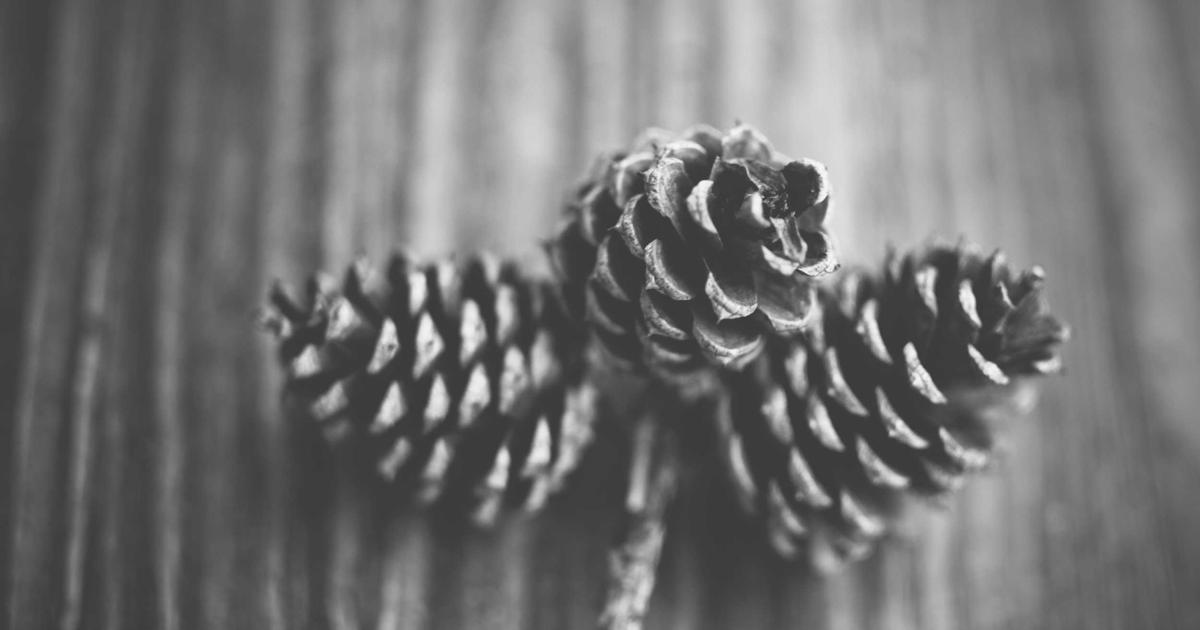 极空间ZOS虚拟机与容器双引擎：打造家庭All-in-One服务器的完整指南