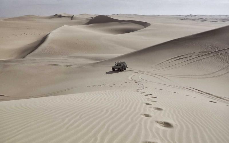 NAS性能压测与基准评测：用fio和iperf3给你的存储和网络做一次全面体检