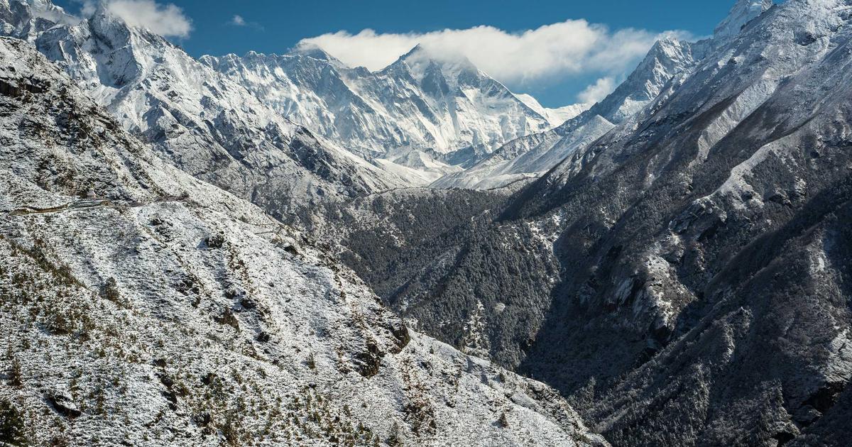 NAS PT下载与自动化管理：qBittorrent+Autobrr打造种子追更系统