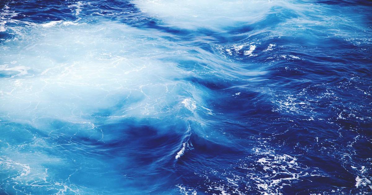 NAS与Home Assistant智能家居深度集成：打造全屋智能中枢控制台