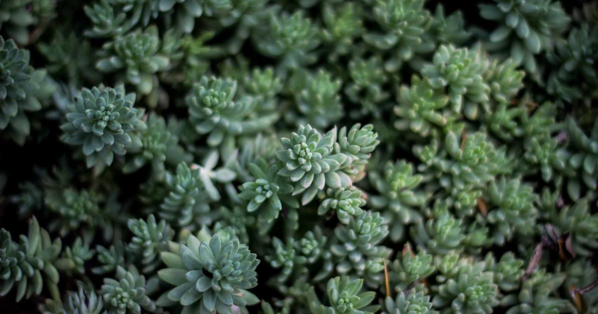 Syncthing去中心化备份与多节点NAS数据同步实战