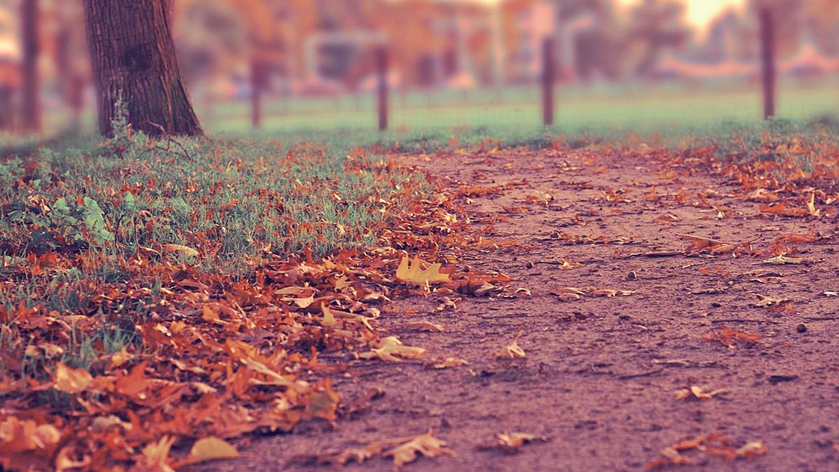 NAS备份自动化进阶：用Restic和Borg实现增量加密备份的完美方案