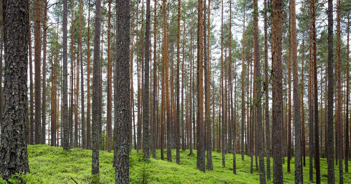 Docker Containerization for Development: Best Practices in 2026