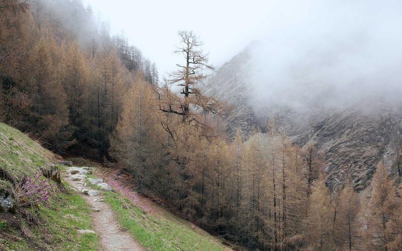 NAS搭建个人知识库：Obsidian同步服务与Outline Wiki团队协作部署指南