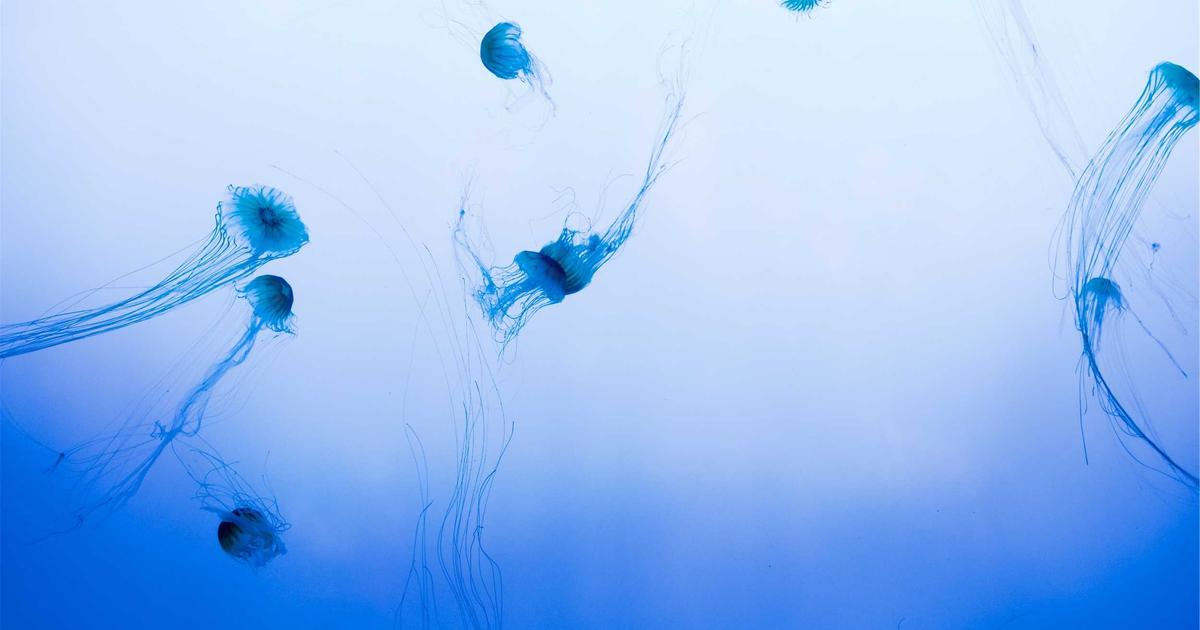 NAS搭建RAG知识库问答系统：让私有文档秒变智能AI助手