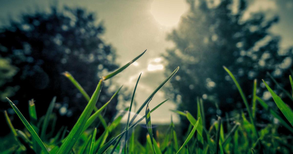 NAS与Matter智能家居协议集成：打造统一的家庭自动化中枢